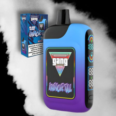 GANG IMMORTAL 16000 Мятные Лесные Ягоды