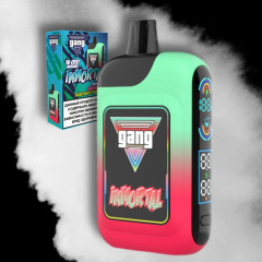 GANG IMMORTAL 16000 Малиново-Яблочный Мохито