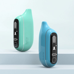 PLONQ MAX PRO 10000 Малина, Мята