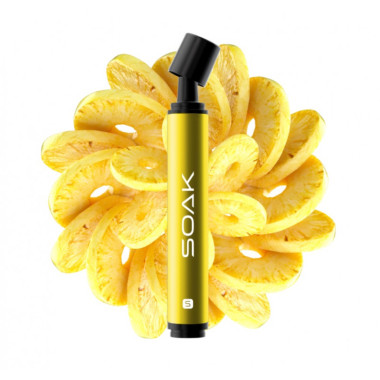 SOAK S Консервированный ананас